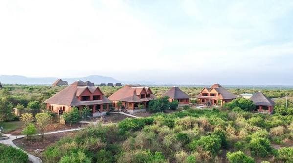 Buffalo Safari Lodge
